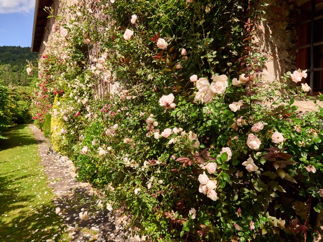 Tag des offenen Bienenstocks